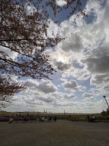 さくらの山公園