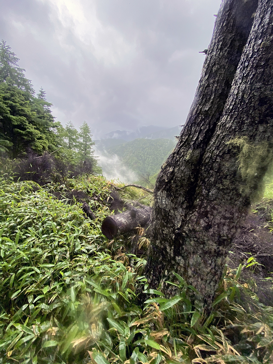 登山