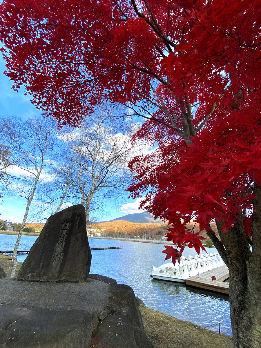 白樺湖