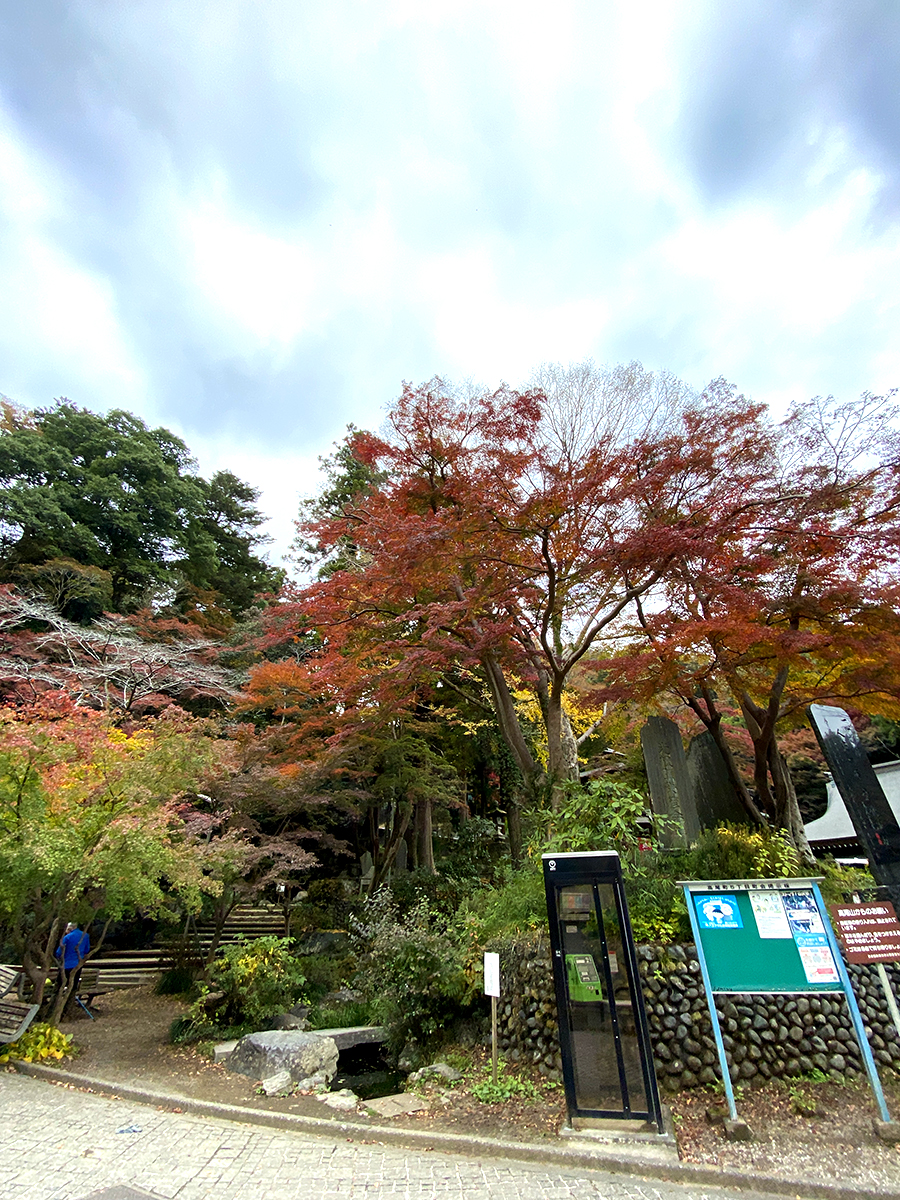 高尾山