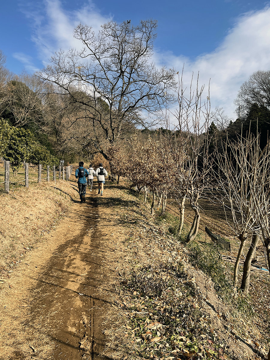 小山田緑地