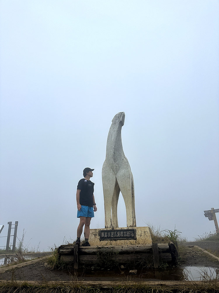 陣馬山山頂