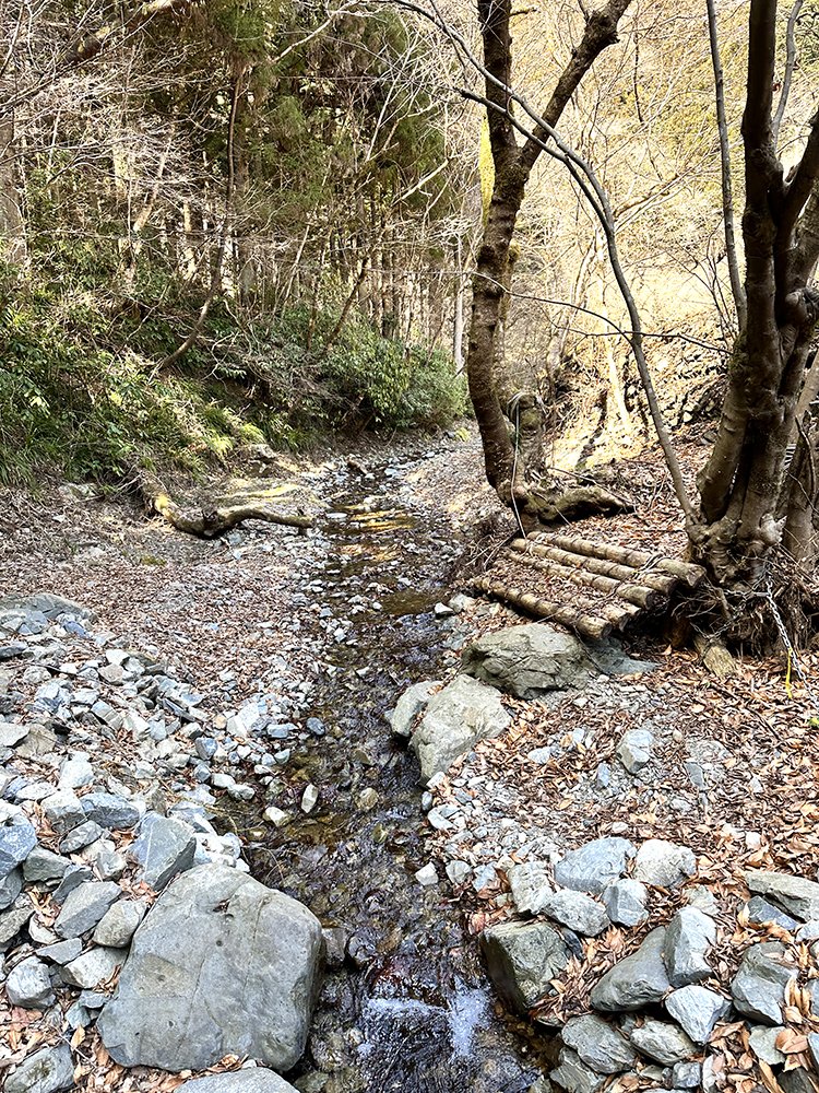 小下沢林道