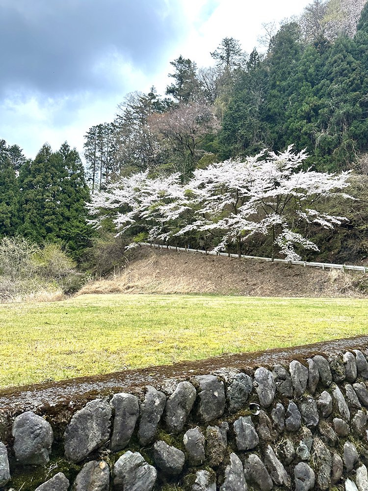 高水トレイルランニングレース